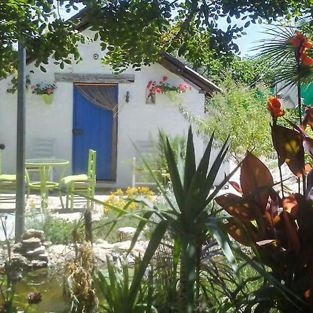 فيلا Vivienda Rural La Choza جيريز المظهر الخارجي الصورة