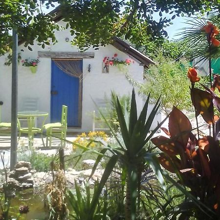 فيلا Vivienda Rural La Choza جيريز المظهر الخارجي الصورة