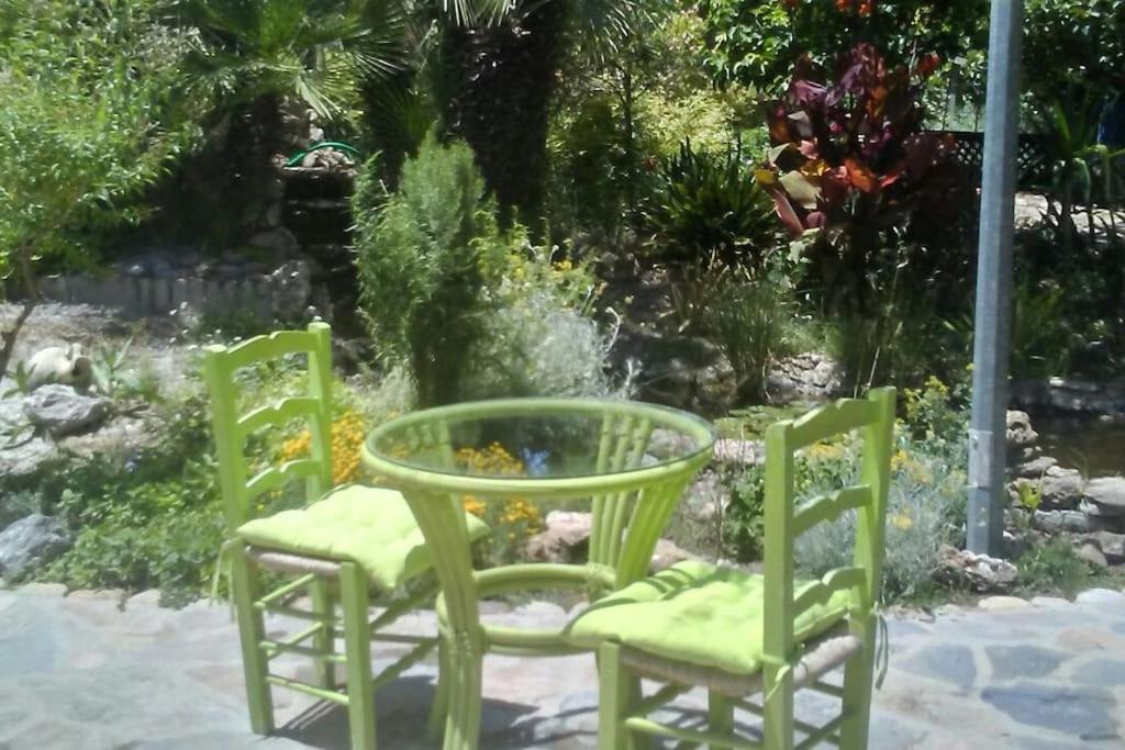 فيلا Vivienda Rural La Choza جيريز المظهر الخارجي الصورة