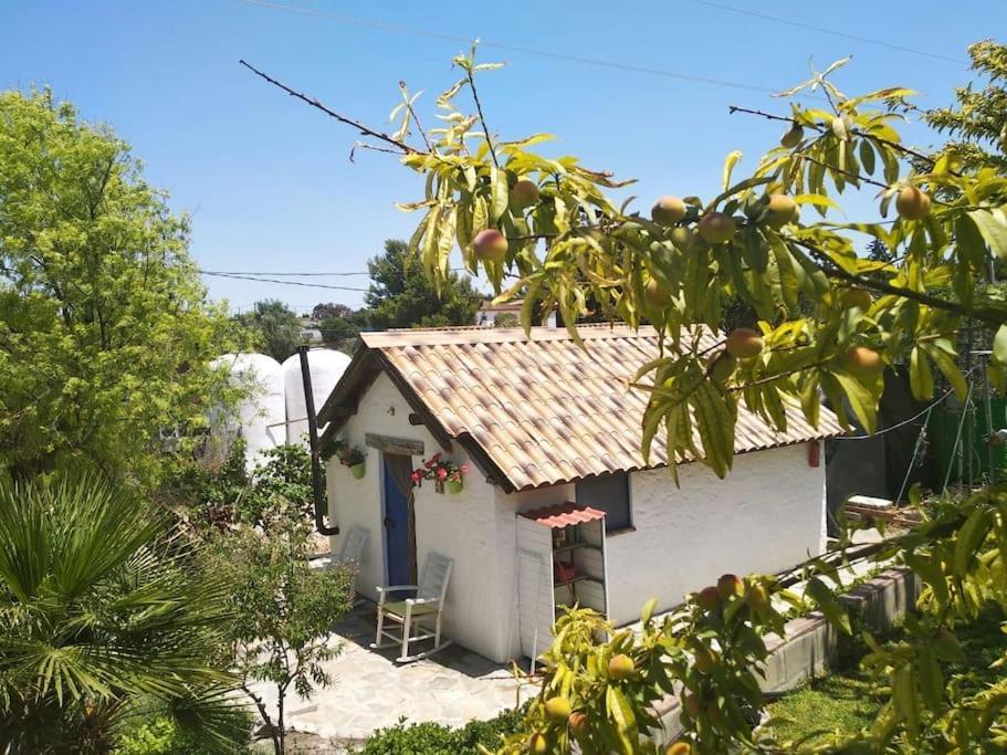 فيلا Vivienda Rural La Choza جيريز المظهر الخارجي الصورة