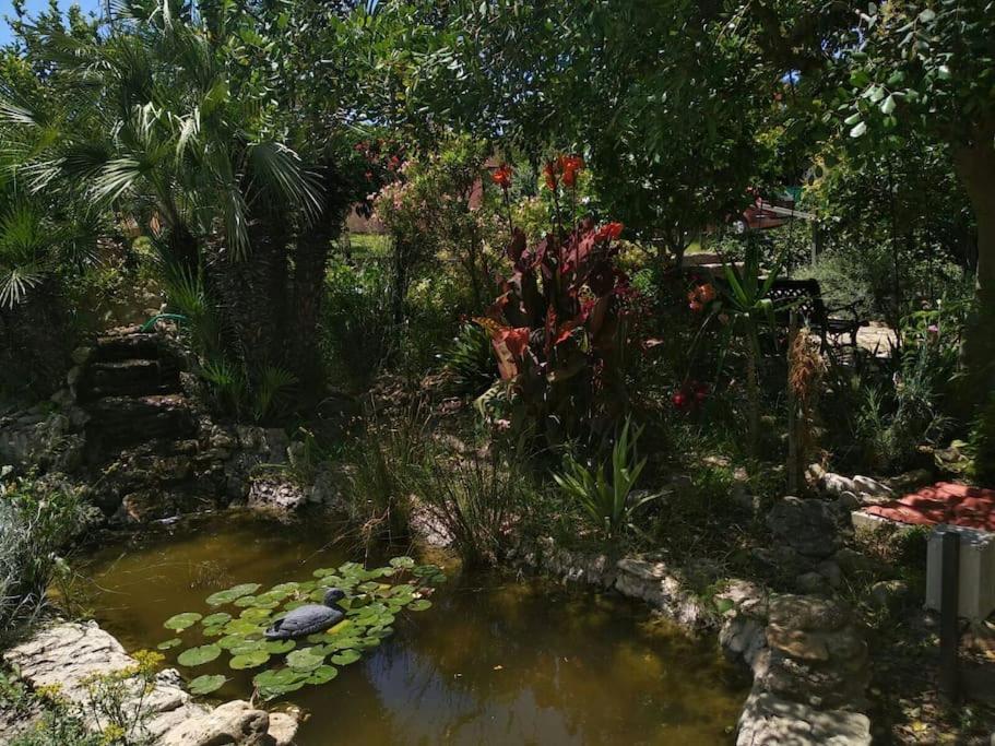 فيلا Vivienda Rural La Choza جيريز المظهر الخارجي الصورة